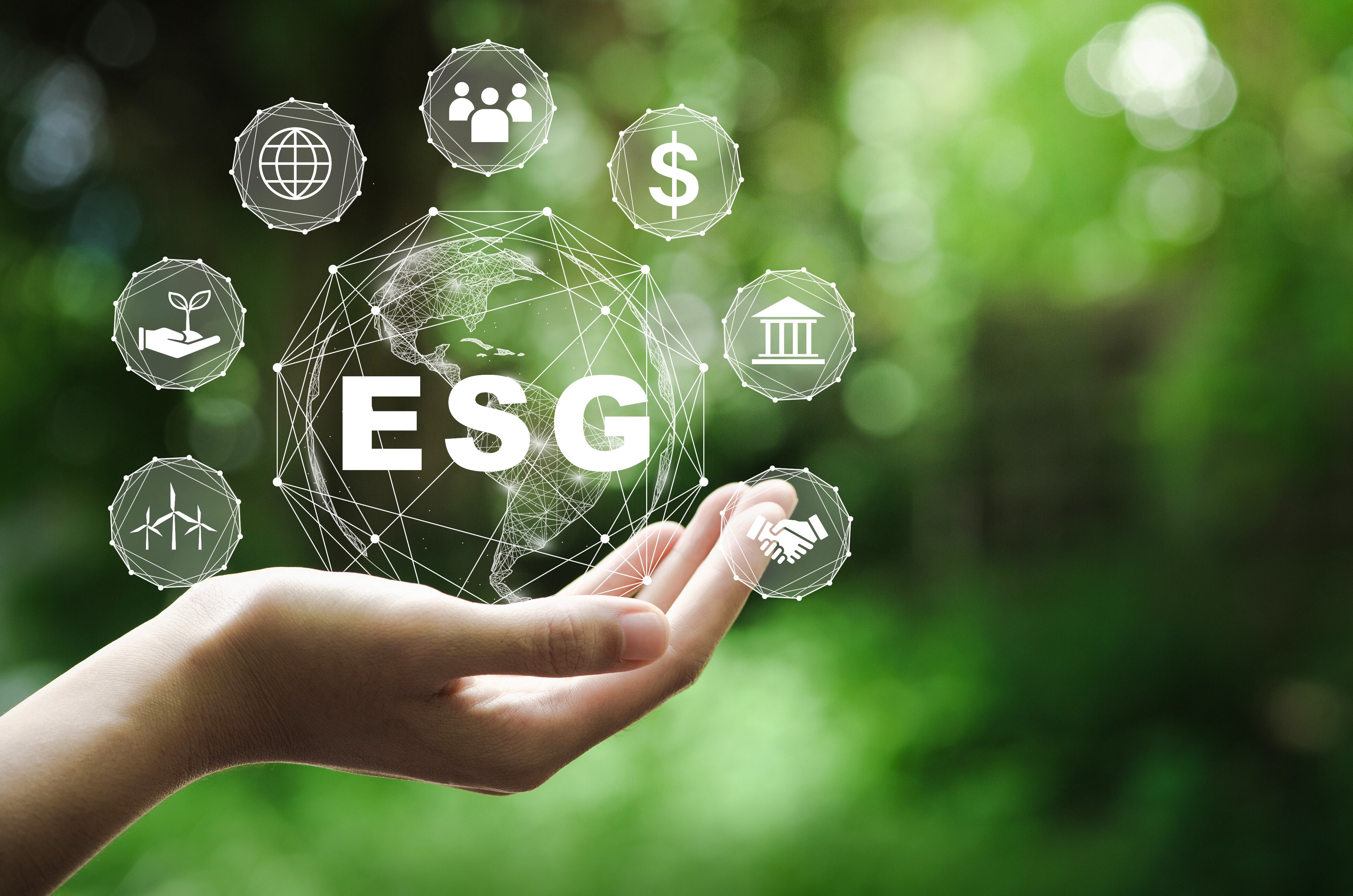 Sostenibilidad y ESG: Contextualización e Implicaciones Estratégicas para las Empresas